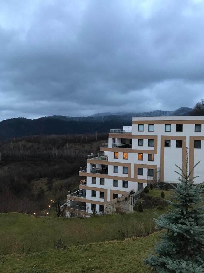 White Season Residence Brasov Exterior photo